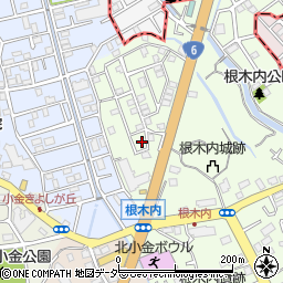 千葉県松戸市根木内6-16周辺の地図