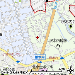 千葉県松戸市根木内6-15周辺の地図