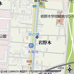 埼玉県三郷市岩野木255周辺の地図