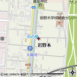 埼玉県三郷市岩野木253周辺の地図