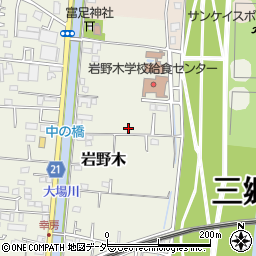埼玉県三郷市岩野木170周辺の地図