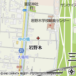 埼玉県三郷市岩野木172周辺の地図
