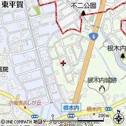 千葉県松戸市根木内6-9周辺の地図