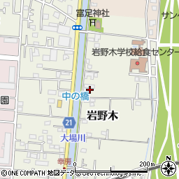 埼玉県三郷市岩野木176周辺の地図