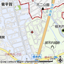 千葉県松戸市根木内6-8周辺の地図