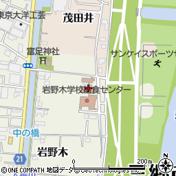 埼玉県三郷市岩野木123周辺の地図