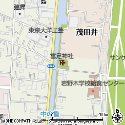 埼玉県三郷市岩野木119周辺の地図