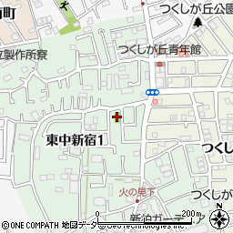中新宿第三公園周辺の地図