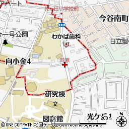 向原周辺の地図