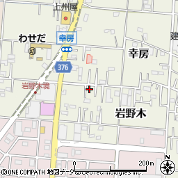 埼玉県三郷市岩野木41-2周辺の地図