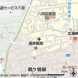埼玉県八潮市八條2809-9周辺の地図