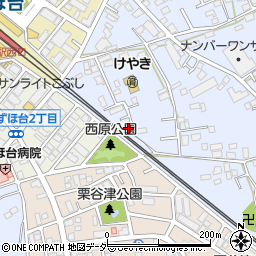 埼玉県富士見市水子4875周辺の地図