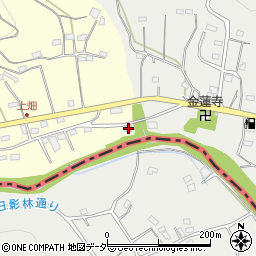 埼玉県飯能市上畑52-5周辺の地図