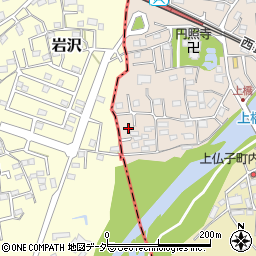 埼玉県入間市野田16周辺の地図