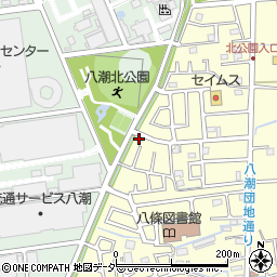埼玉県八潮市八條2520周辺の地図