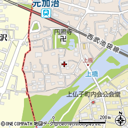 埼玉県入間市野田141周辺の地図