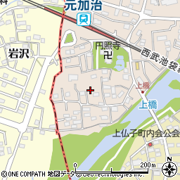 埼玉県入間市野田147周辺の地図