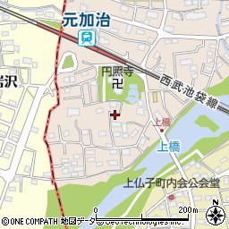 埼玉県入間市野田142周辺の地図