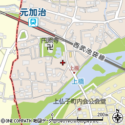 埼玉県入間市野田137周辺の地図