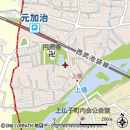 埼玉県入間市野田133周辺の地図