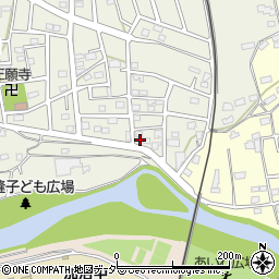 埼玉県飯能市笠縫207-24周辺の地図