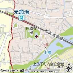 埼玉県入間市野田132周辺の地図