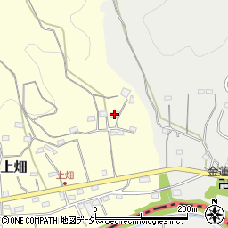 埼玉県飯能市上畑20周辺の地図