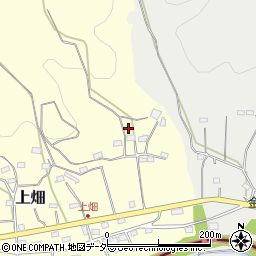 埼玉県飯能市上畑21周辺の地図