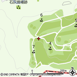 埼玉県飯能市上直竹下分252周辺の地図