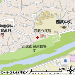 埼玉県入間市野田496周辺の地図