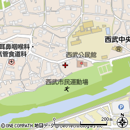 埼玉県入間市野田494周辺の地図