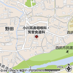 埼玉県入間市野田435周辺の地図