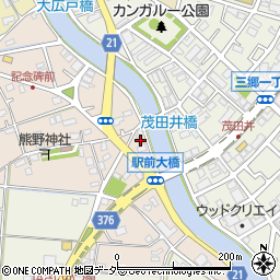 埼玉県三郷市茂田井796周辺の地図