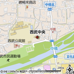 埼玉県入間市野田519周辺の地図