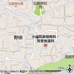 埼玉県入間市野田359周辺の地図