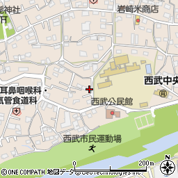 埼玉県入間市野田491周辺の地図