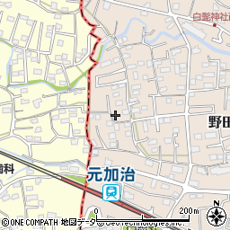 埼玉県入間市野田217周辺の地図
