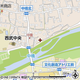 埼玉県入間市野田725周辺の地図