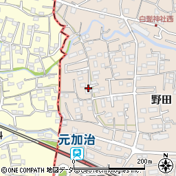 埼玉県入間市野田216周辺の地図