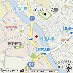 埼玉県三郷市茂田井805周辺の地図