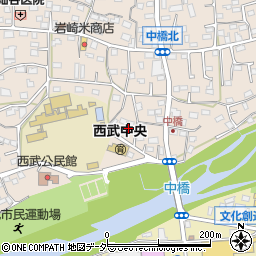 埼玉県入間市野田529周辺の地図