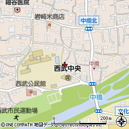埼玉県入間市野田528周辺の地図