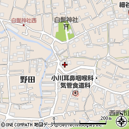 埼玉県入間市野田376周辺の地図