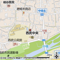 埼玉県入間市野田527周辺の地図