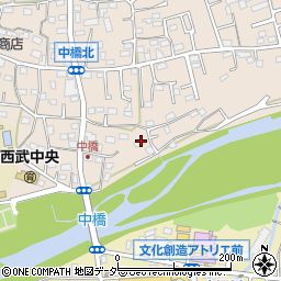 埼玉県入間市野田745周辺の地図