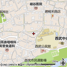 埼玉県入間市野田484周辺の地図