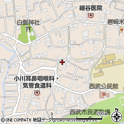 埼玉県入間市野田478周辺の地図
