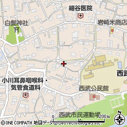 埼玉県入間市野田485周辺の地図