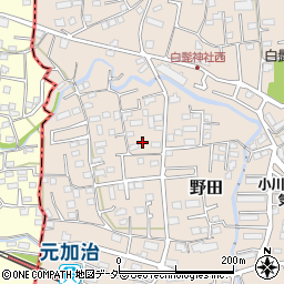 埼玉県入間市野田241周辺の地図