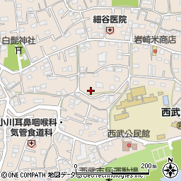 埼玉県入間市野田482周辺の地図